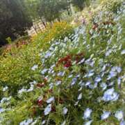 ヒメ日記 2026/04/16 09:55 投稿 倉田 ミオン 熟女・人妻マダム宮殿