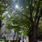 ヒメ日記 2026/04/16 20:12 投稿 倉田 ミオン 熟女・人妻マダム宮殿