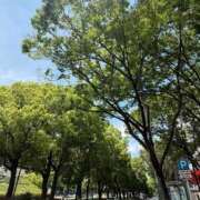 ヒメ日記 2026/05/20 14:50 投稿 倉田 ミオン 熟女・人妻マダム宮殿