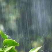 ヒメ日記 2026/06/02 08:46 投稿 倉田 ミオン 熟女・人妻マダム宮殿