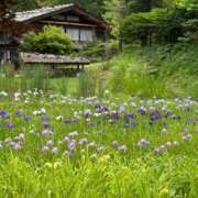 ヒメ日記 2026/06/25 08:44 投稿 倉田 ミオン 熟女・人妻マダム宮殿