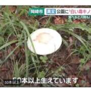 ヒメ日記 2026/09/15 14:11 投稿 倉田 ミオン 熟女・人妻マダム宮殿