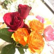 ヒメ日記 2026/03/15 07:10 投稿 まりこ 性腺熟女100％（デリヘル市場）