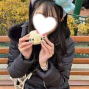 ヒメ日記 2025/02/15 12:18 投稿 うい Evolution 2nd