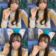 ヒメ日記 2025/04/30 15:02 投稿 うい Evolution 2nd