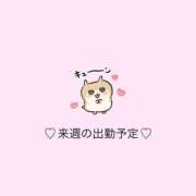 ヒメ日記 2025/07/23 15:03 投稿 うい Evolution 2nd