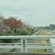 ヒメ日記 2025/04/10 12:50 投稿 西野　いちか プルプル人妻専門店