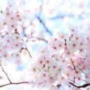 ヒメ日記 2025/03/30 16:43 投稿 伊都(いと) 高知デリヘル倶楽部 人妻熟女専門店