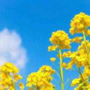 伊都(いと) リバティさま 高知デリヘル倶楽部 人妻熟女専門店