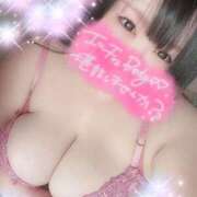 ヒメ日記 2025/04/08 11:52 投稿 椎名【しいな】 丸妻 西船橋店