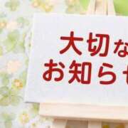 ヒメ日記 2024/11/11 20:06 投稿 水野まい しこたま奥様 横浜店