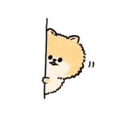 ヒメ日記 2025/03/19 12:05 投稿 ことね いざ候 別館