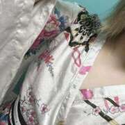 ヒメ日記 2025/09/06 11:04 投稿 ことね いざ候 別館