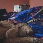 ヒメ日記 2025/10/14 22:31 投稿 ことね いざ候 別館