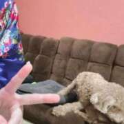 ヒメ日記 2025/11/01 21:34 投稿 ことね いざ候 別館