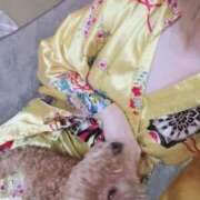 ヒメ日記 2025/11/24 22:34 投稿 ことね いざ候 別館