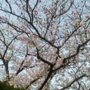 ヒメ日記 2025/04/14 09:15 投稿 しおり 熟女デリヘル倶楽部