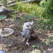 ヒメ日記 2025/04/18 09:38 投稿 しおり 熟女デリヘル倶楽部