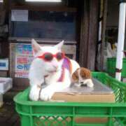 ヒメ日記 2025/10/23 12:13 投稿 しおり 熟女デリヘル倶楽部