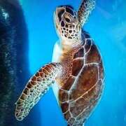 ヒメ日記 2025/11/04 09:37 投稿 しおり 熟女デリヘル倶楽部