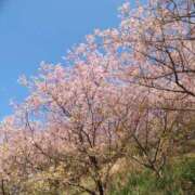 しおり おはようございます😊 熟女デリヘル倶楽部