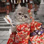 ヒメ日記 2026/01/04 14:58 投稿 すず フローラル