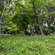 ヒメ日記 2025/04/21 11:23 投稿 たまえ ニューヨークニューヨーク