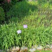 ヒメ日記 2025/06/16 11:24 投稿 たまえ ニューヨークニューヨーク