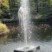 ヒメ日記 2025/06/23 11:07 投稿 たまえ ニューヨークニューヨーク