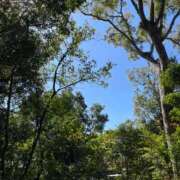 ヒメ日記 2025/08/17 11:03 投稿 たまえ ニューヨークニューヨーク