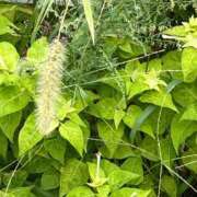 ヒメ日記 2025/11/09 11:07 投稿 たまえ ニューヨークニューヨーク