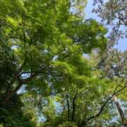 ヒメ日記 2026/01/04 16:45 投稿 たまえ ニューヨークニューヨーク