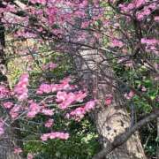 ヒメ日記 2026/02/22 15:47 投稿 たまえ ニューヨークニューヨーク