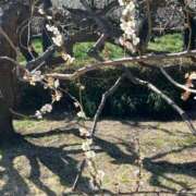 ヒメ日記 2026/03/08 16:41 投稿 たまえ ニューヨークニューヨーク