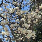 ヒメ日記 2026/03/15 11:35 投稿 たまえ ニューヨークニューヨーク