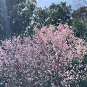 ヒメ日記 2026/03/28 14:05 投稿 たまえ ニューヨークニューヨーク