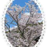 ヒメ日記 2025/04/10 11:28 投稿 ぱいん 熟女家 堺東店