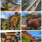 ヒメ日記 2025/11/16 18:29 投稿 ぱいん 熟女家 堺東店