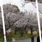 ヒメ日記 2026/04/02 08:47 投稿 ぱいん 熟女家 堺東店