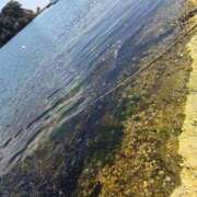 ヒメ日記 2025/04/14 19:57 投稿 あおい クラブアリア -CLUB ARIA-