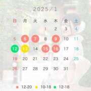 ヒメ日記 2024/12/27 11:04 投稿 悠木美那 ハールブルク