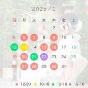 ヒメ日記 2025/01/11 11:15 投稿 悠木美那 ハールブルク