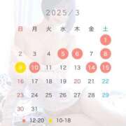 ヒメ日記 2025/02/21 19:30 投稿 悠木美那 ハールブルク