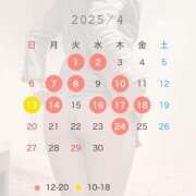 ヒメ日記 2025/03/23 15:46 投稿 悠木美那 ハールブルク