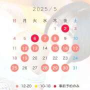 ヒメ日記 2025/05/03 11:02 投稿 悠木美那 ハールブルク