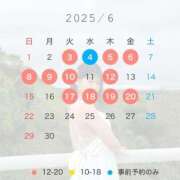 ヒメ日記 2025/05/20 14:52 投稿 悠木美那 ハールブルク