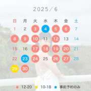 ヒメ日記 2025/06/09 10:34 投稿 悠木美那 ハールブルク