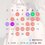 ヒメ日記 2025/07/08 20:01 投稿 悠木美那 ハールブルク
