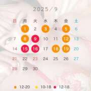 ヒメ日記 2025/08/28 18:55 投稿 悠木美那 ハールブルク