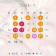 ヒメ日記 2025/09/13 11:48 投稿 悠木美那 ハールブルク